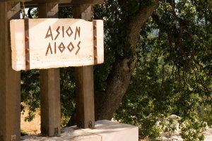 Asion Lithos